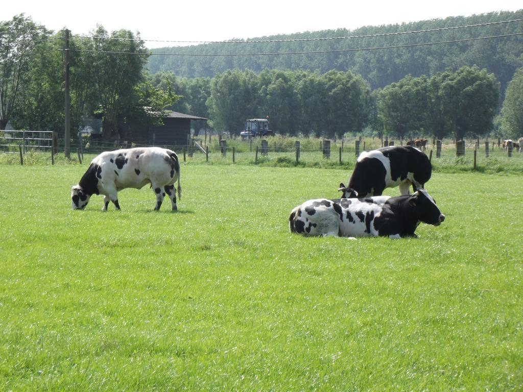 B&B Altijd Genieten Damme Exterior foto